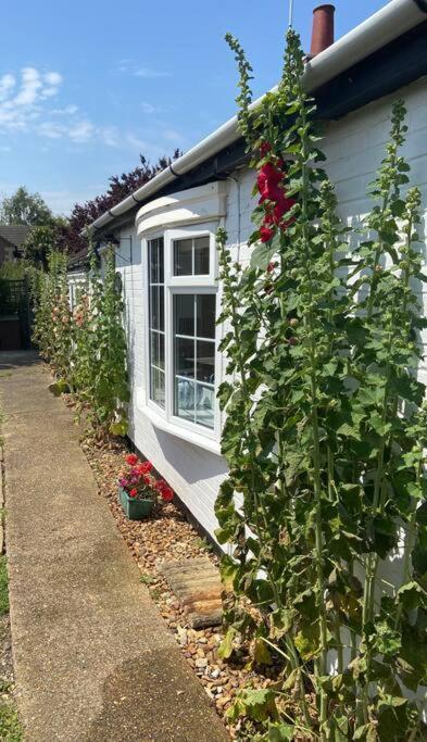 Field Cottage Whittlesey Exterior foto